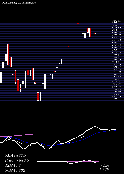 Daily chart SolexEnergy