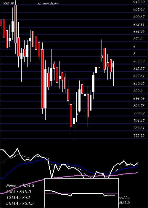 Daily chart SP