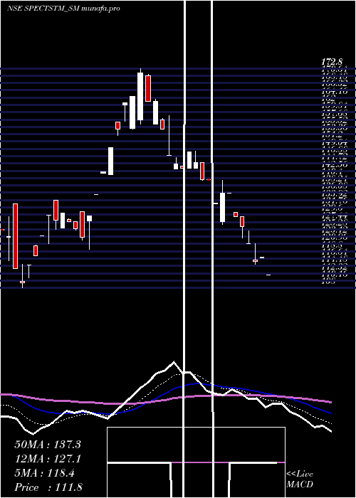 Daily chart SpectrumTalent