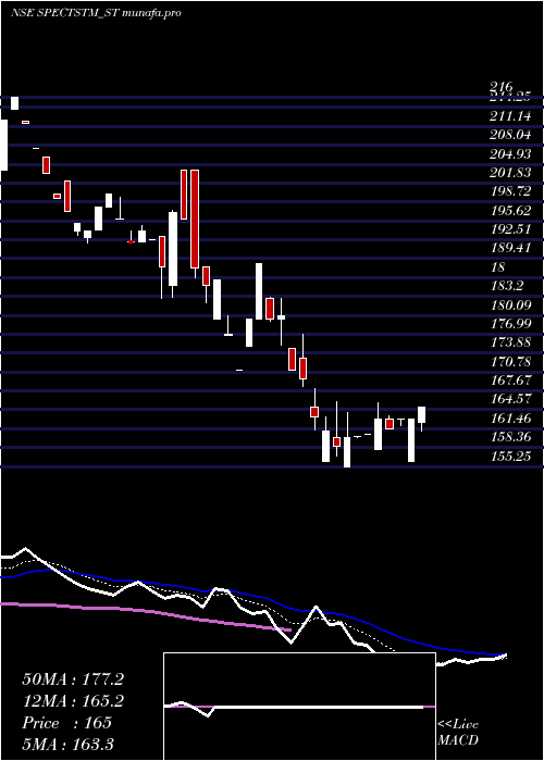  Daily chart SpectrumTalent