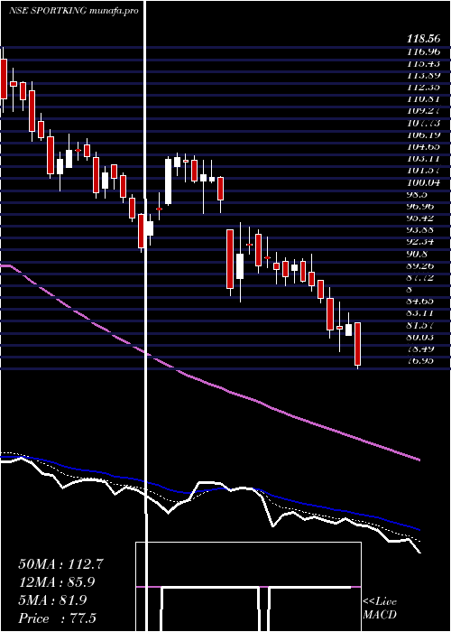  Daily chart SportkingIndia