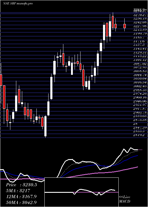  Daily chart Srf