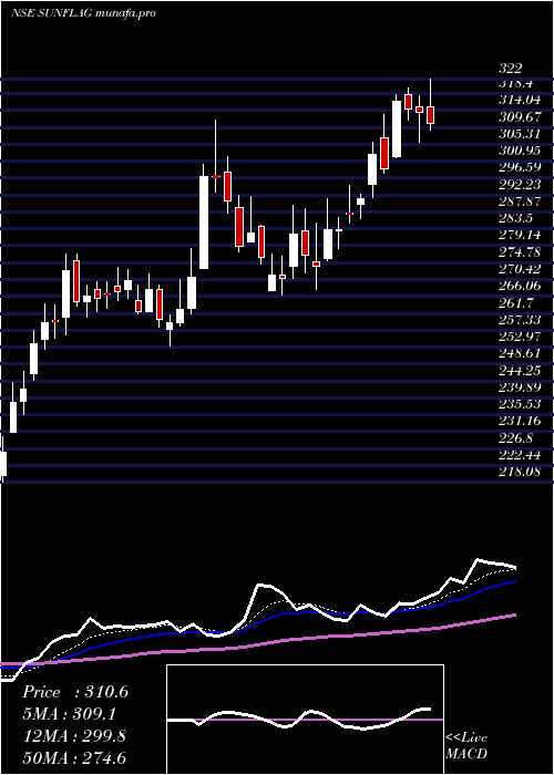  Daily chart SunflagIron