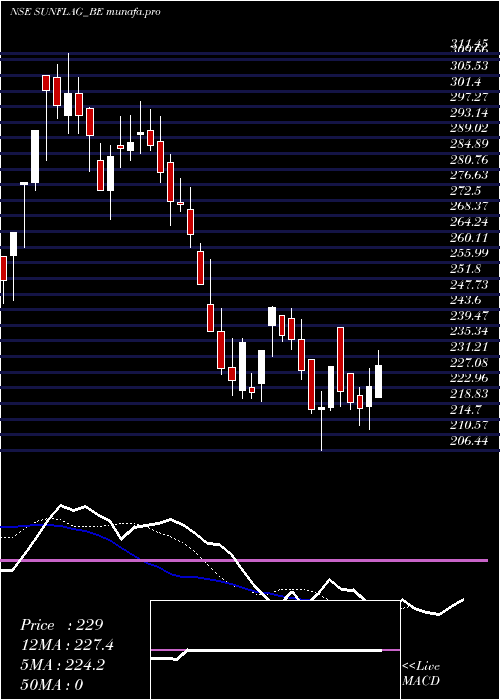  Daily chart SunflagIron