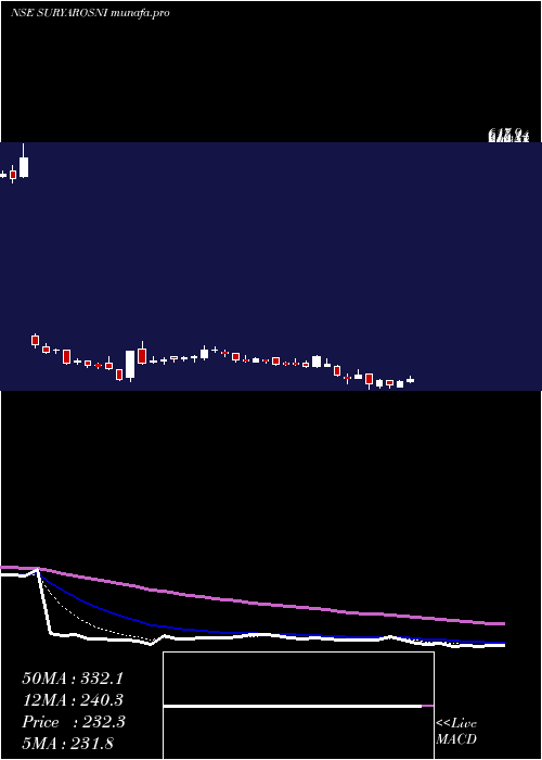  Daily chart SuryaRoshni