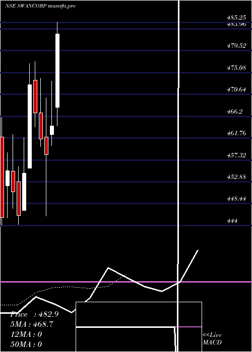  Daily chart SwanCorp