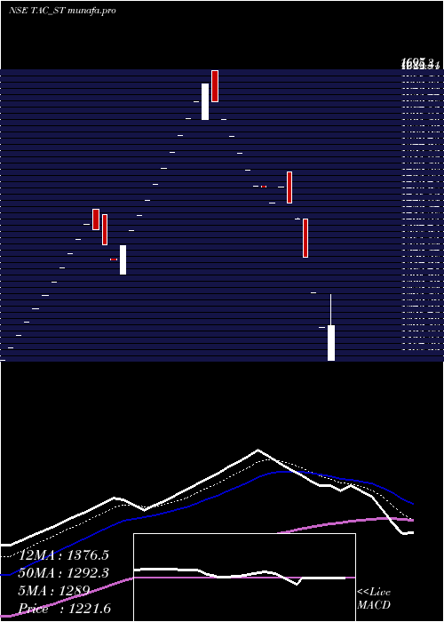  Daily chart TacInfosec