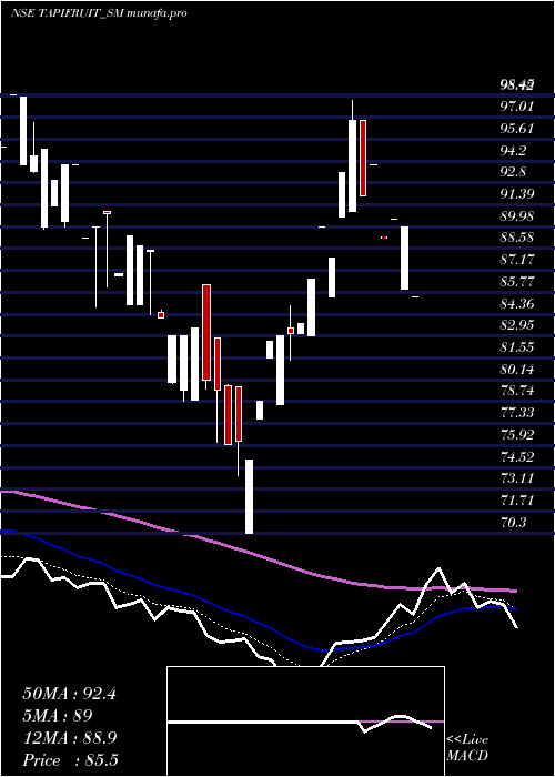 Daily chart TapiFruit