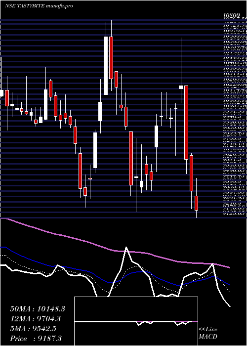  Daily chart TastyBite