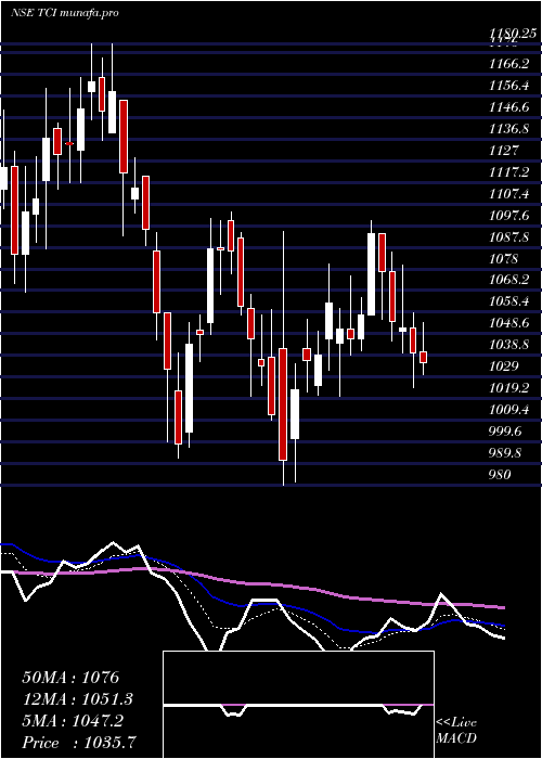  Daily chart TransportCorporation