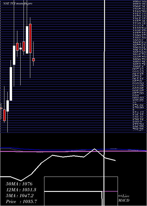  monthly chart TransportCorporation