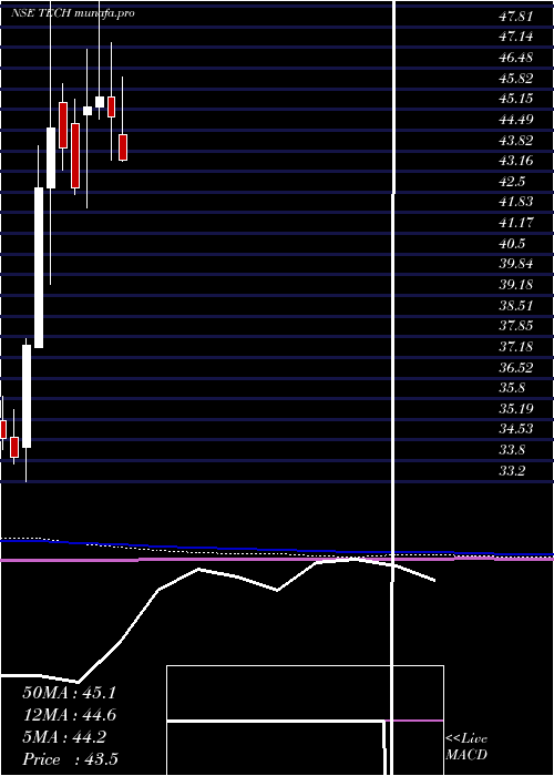  monthly chart BirlaslamcTech