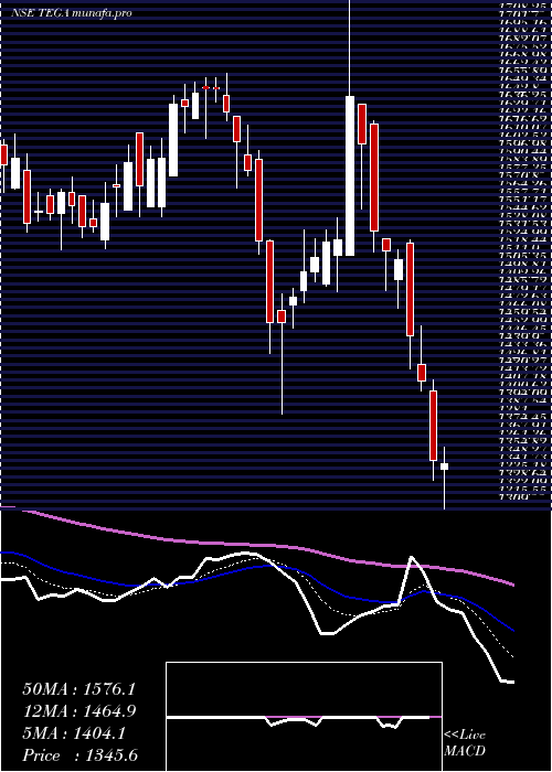  Daily chart TegaIndustries