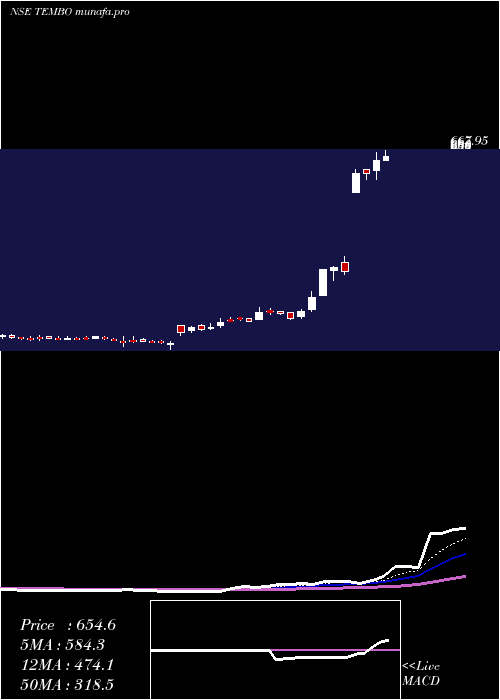 Daily chart TemboGlobal