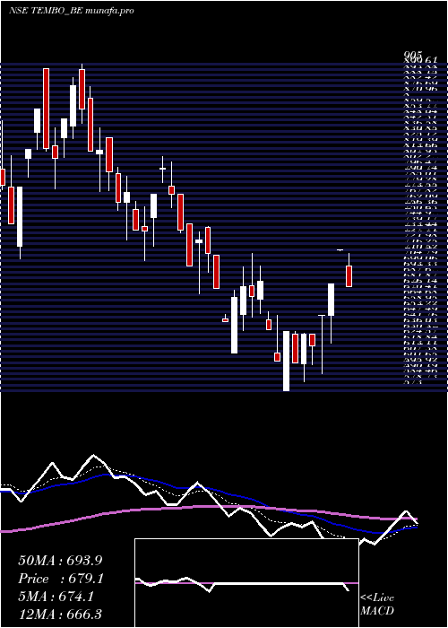  Daily chart TemboGlobal