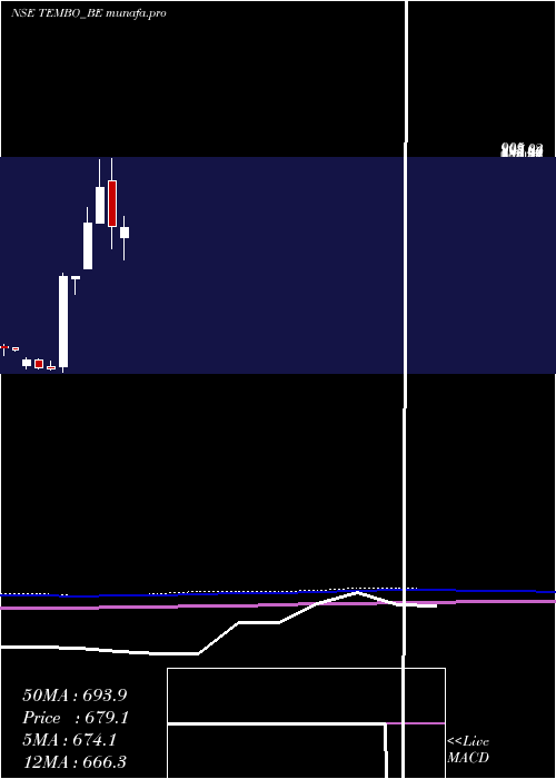  monthly chart TemboGlobal