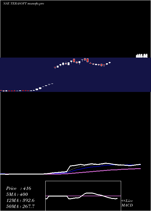  Daily chart TeraSoftware