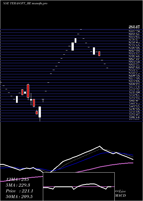  Daily chart TeraSoftware