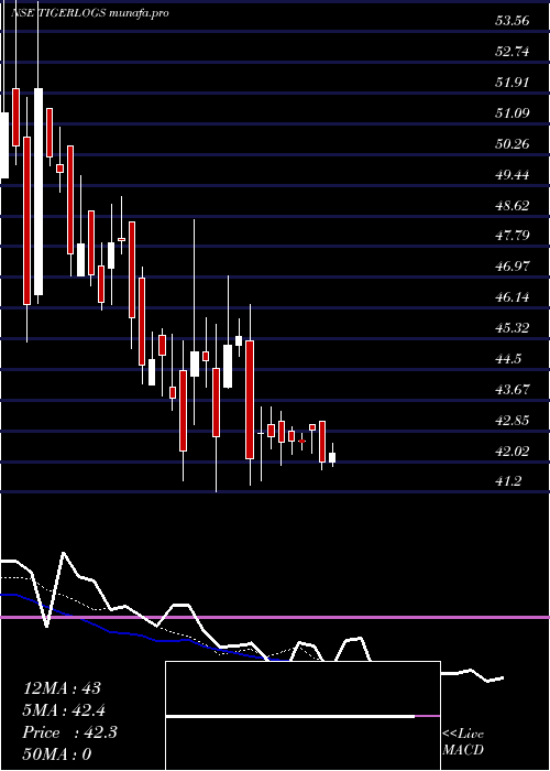  Daily chart TigerLogistics