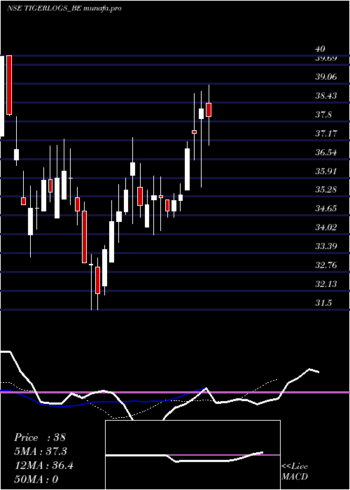  Daily chart TigerLogistics