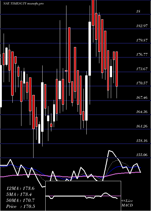  Daily chart TimesGuaranty