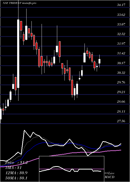  Daily chart Trident