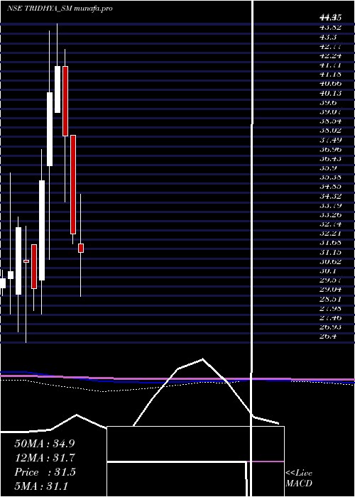  monthly chart TridhyaTech