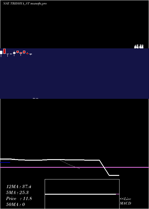  Daily chart TridhyaTech