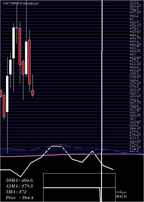  monthly chart TriveniEngineering