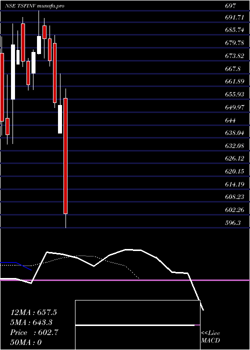  Daily chart TsfInvestments