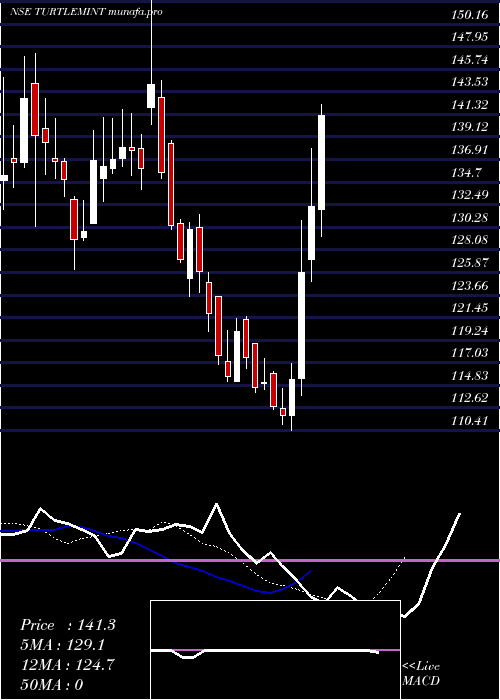  Daily chart TurtlemintFintech