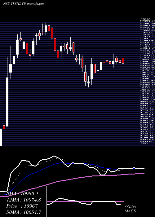 Daily chart TvsHoldings