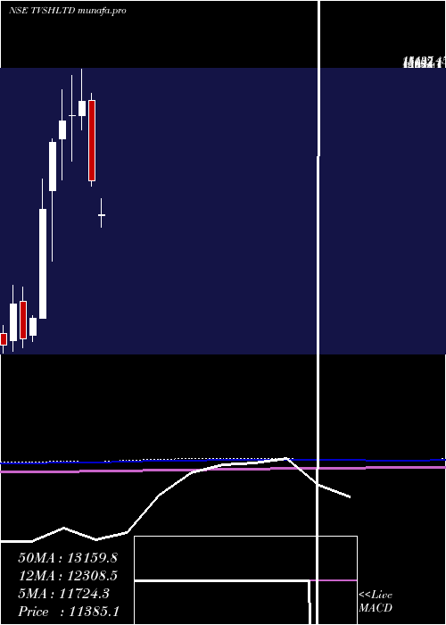  monthly chart TvsHoldings