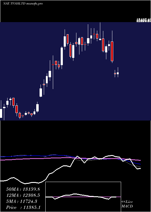  weekly chart TvsHoldings