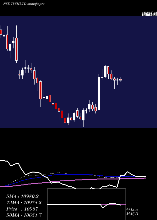weekly chart TvsHoldings
