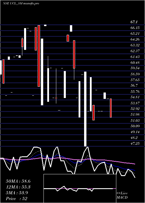 Daily chart UshantiColour