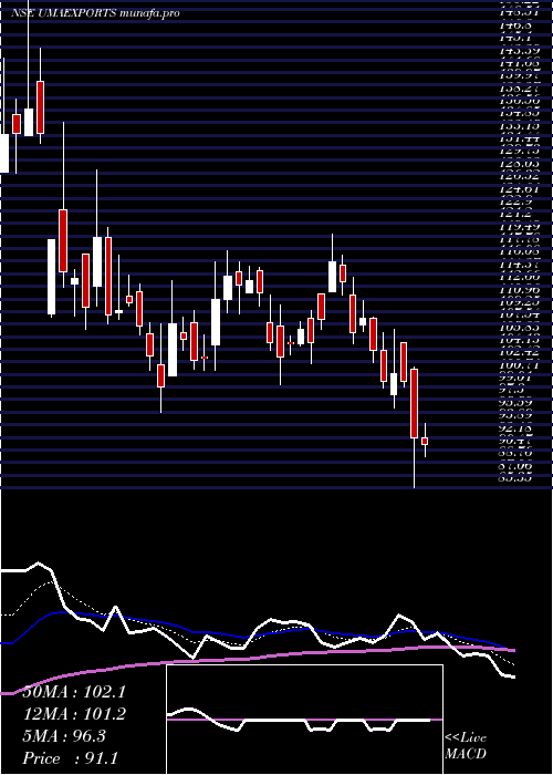  Daily chart UmaExports