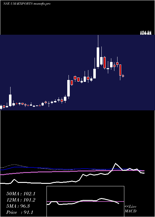  weekly chart UmaExports