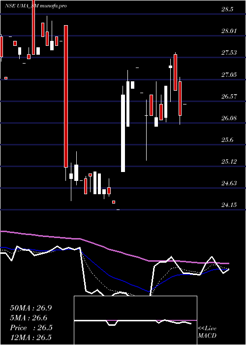  Daily chart UmaConverter