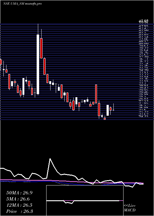  weekly chart UmaConverter