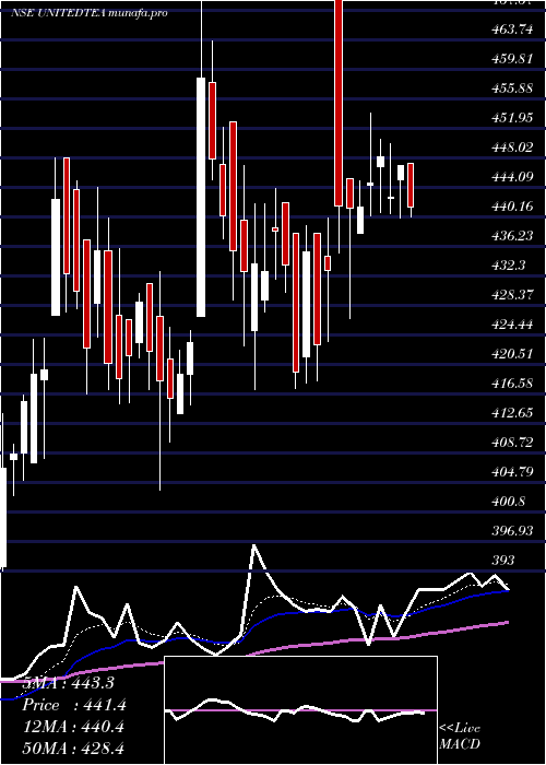  Daily chart UnitedNilgiri