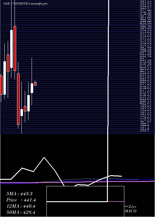  monthly chart UnitedNilgiri