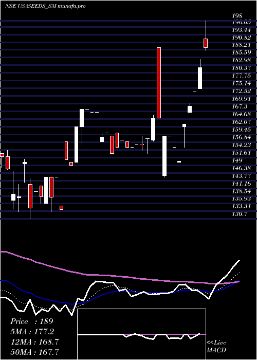 Daily chart UpsurgeSeeds