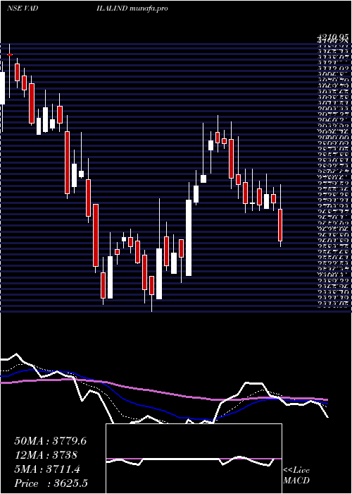  Daily chart VadilalIndustries