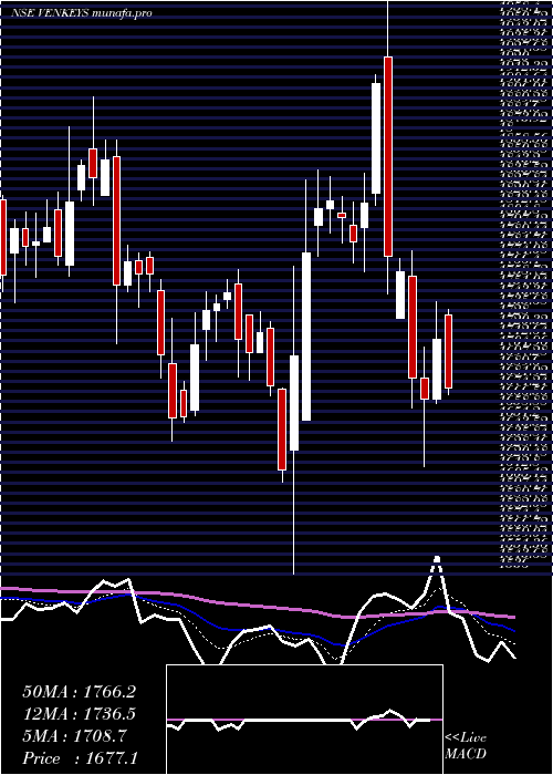  Daily chart VenkyS