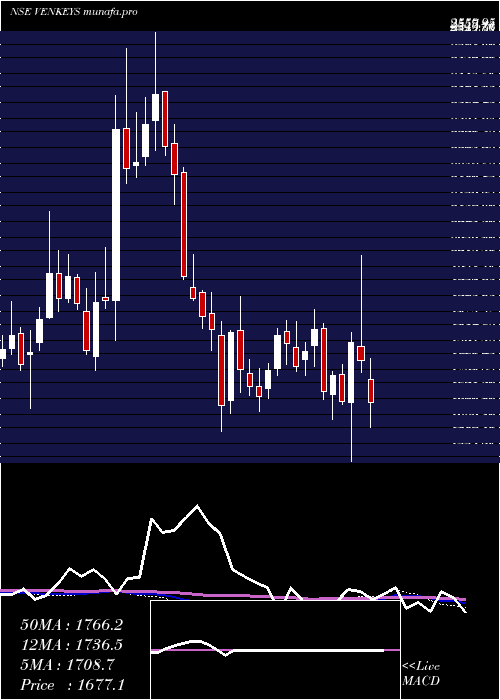  weekly chart VenkyS