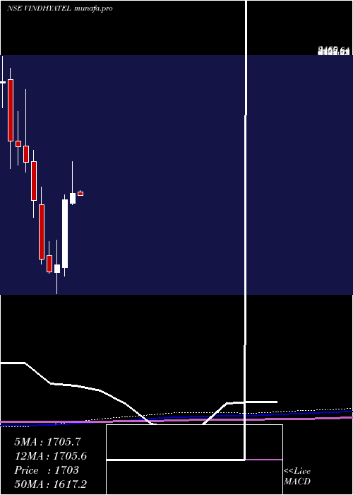  monthly chart VindhyaTelelinks