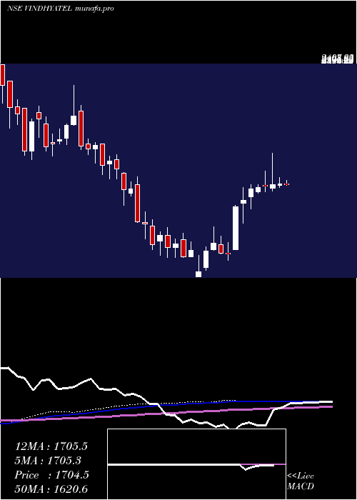  weekly chart VindhyaTelelinks