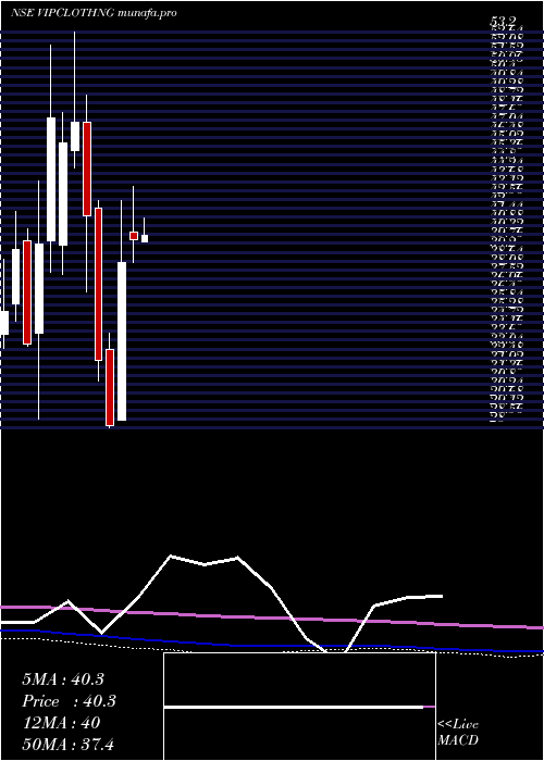  monthly chart VipClothing