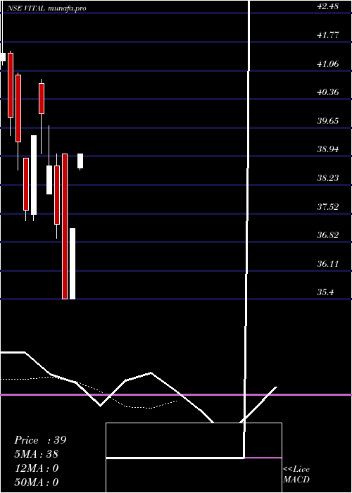  Daily chart VitalChemtech